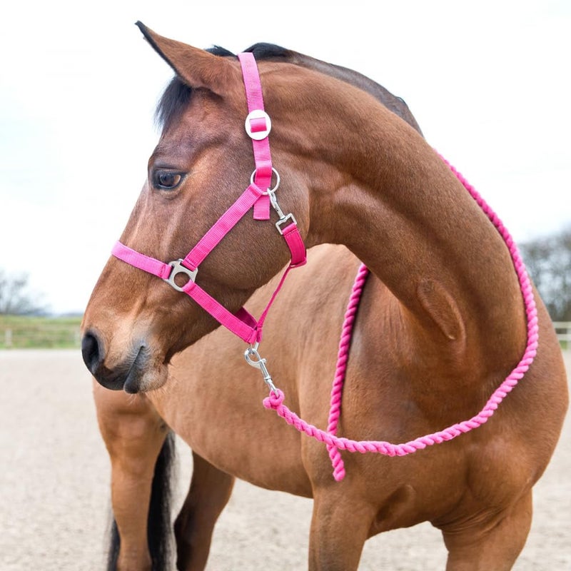 HORZE Basic Cotton 7' Horse Lead Rope - Raspberry Pink - One Size - Image 2